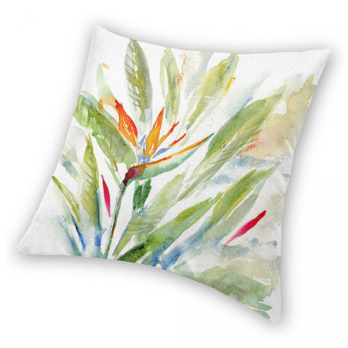 Bird Of Paradise Strelitzia Sq - Bird Paradise Strelitzia recension och pris